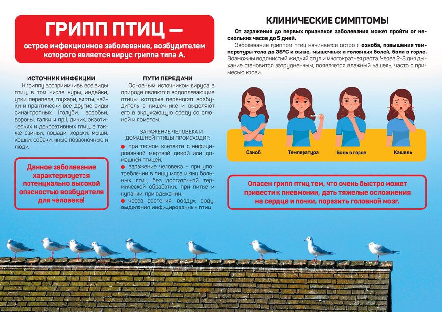 Посмотреть через вьювер